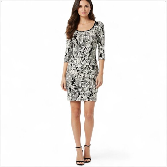 Grayse Black Label Snake Animal Print Textured Knit 3/4 Sleeve Dress New NWOT XS - Picture 1 of 6